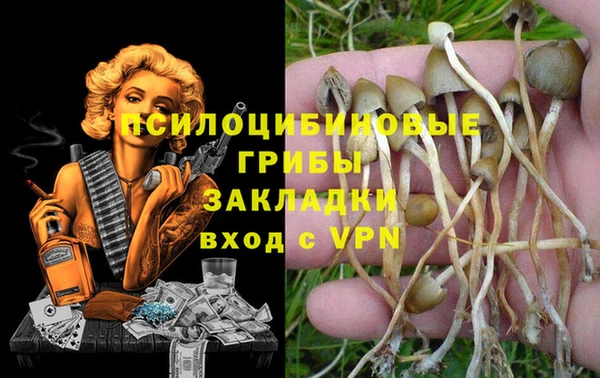 mdpv Аркадак