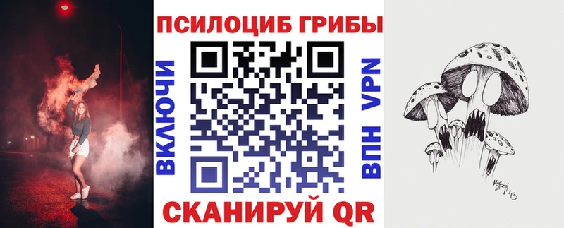 Галлюциногенные грибы мицелий  как найти   Ахтубинск 